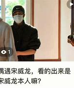 西湖猴王一只猴子如何成为文化现象与商业奇迹 西湖猴王一只猴子如何成为文化现象与商业奇迹