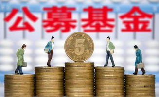 已筹集接近万美金额 已筹集接近万美金额